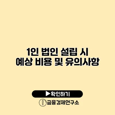 1인 법인 설립 시 예상 비용 및 유의사항