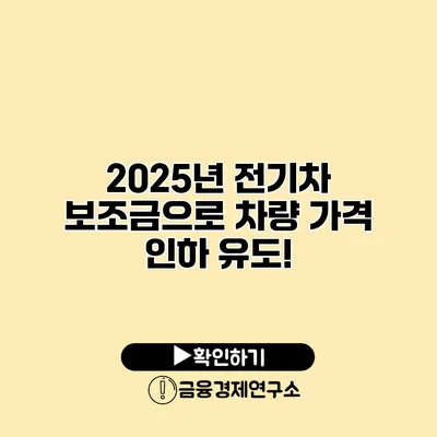 2025년 전기차 보조금으로 차량 가격 인하 유도!