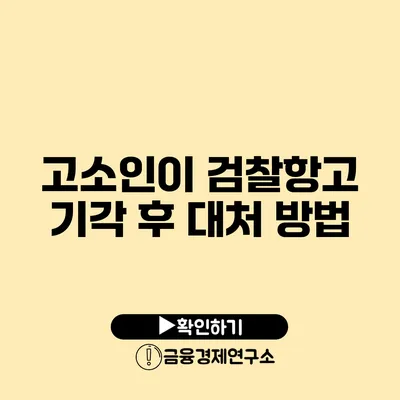 고소인이 검찰항고 기각 후 대처 방법