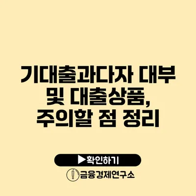 기대출과다자 대부 및 대출상품, 주의할 점 정리