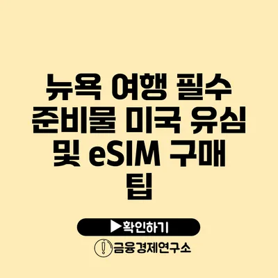 뉴욕 여행 필수 준비물 미국 유심 및 eSIM 구매 팁