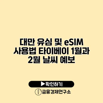 대만 유심 및 eSIM 사용법 타이베이 1월과 2월 날씨 예보