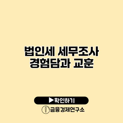 법인세 세무조사 경험담과 교훈