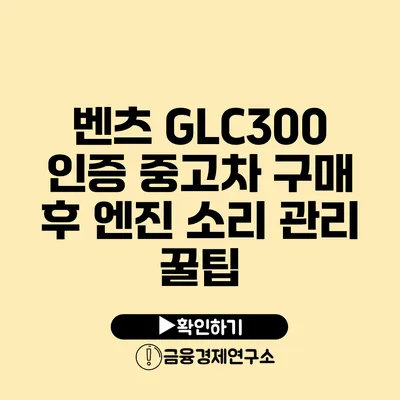 벤츠 GLC300 인증 중고차 구매 후 엔진 소리 관리 꿀팁