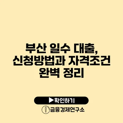 부산 일수 대출, 신청방법과 자격조건 완벽 정리