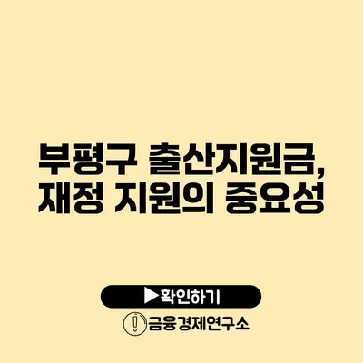 부평구 출산지원금, 재정 지원의 중요성