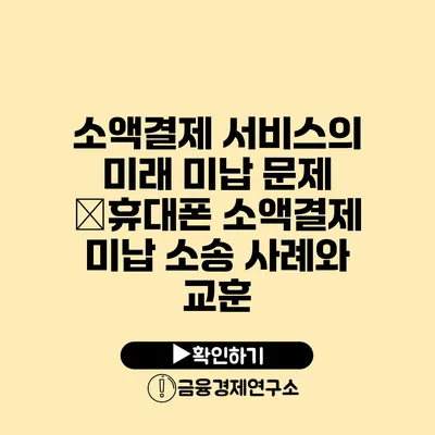 소액결제 서비스의 미래 미납 문제 �휴대폰 소액결제 미납 소송 사례와 교훈