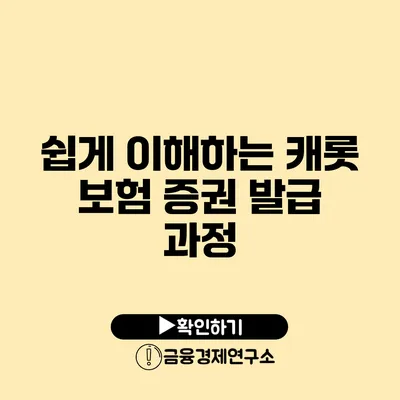 쉽게 이해하는 캐롯 보험 증권 발급 과정