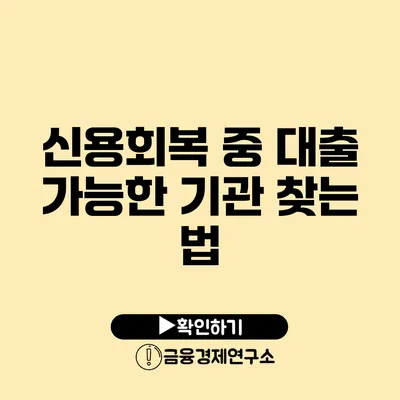 신용회복 중 대출 가능한 기관 찾는 법