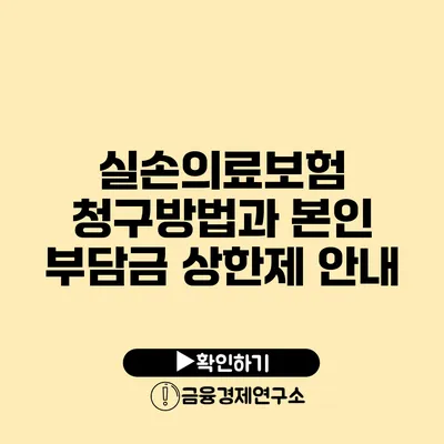 실손의료보험 청구방법과 본인 부담금 상한제 안내