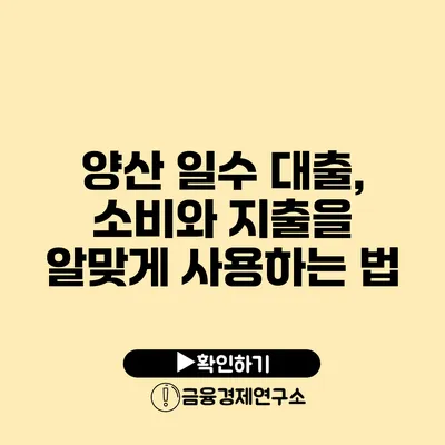 양산 일수 대출, 소비와 지출을 알맞게 사용하는 법