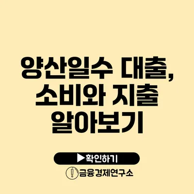 양산일수 대출, 소비와 지출 알아보기