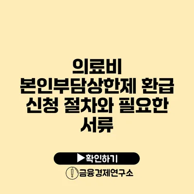 의료비 본인부담상한제 환급 신청 절차와 필요한 서류