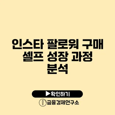 인스타 팔로워 구매 셀프 성장 과정 분석