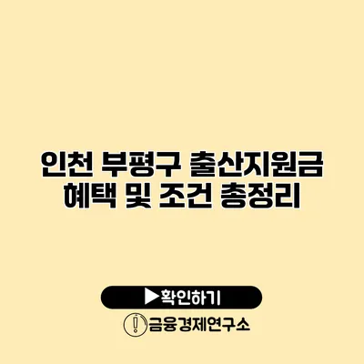 인천 부평구 출산지원금 혜택 및 조건 총정리