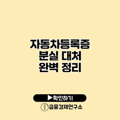 자동차등록증 분실 대처 완벽 정리