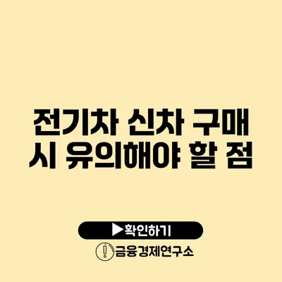 전기차 신차 구매 시 유의해야 할 점