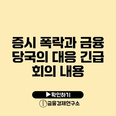 증시 폭락과 금융 당국의 대응 긴급 회의 내용