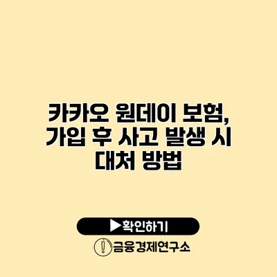 카카오 원데이 보험, 가입 후 사고 발생 시 대처 방법