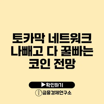 토카막 네트워크 나빼고 다 꿀빠는 코인 전망