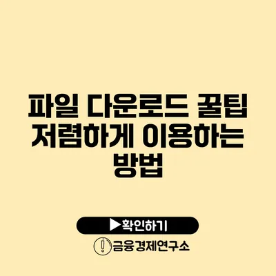 파일 다운로드 꿀팁 저렴하게 이용하는 방법