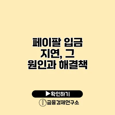 페이팔 입금 지연, 그 원인과 해결책