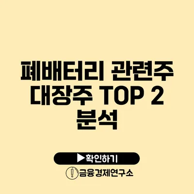 폐배터리 관련주 대장주 TOP 2 분석