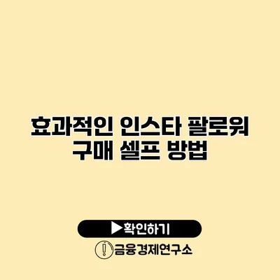 효과적인 인스타 팔로워 구매 셀프 방법