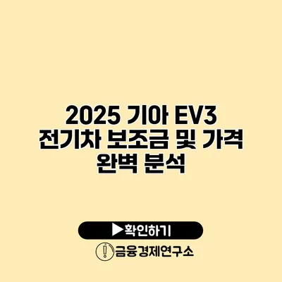 2025 기아 EV3 전기차 보조금 및 가격 완벽 분석
