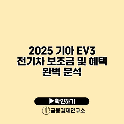 2025 기아 EV3 전기차 보조금 및 혜택 완벽 분석