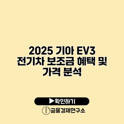 2025 기아 EV3 전기차 보조금 혜택 및 가격 분석