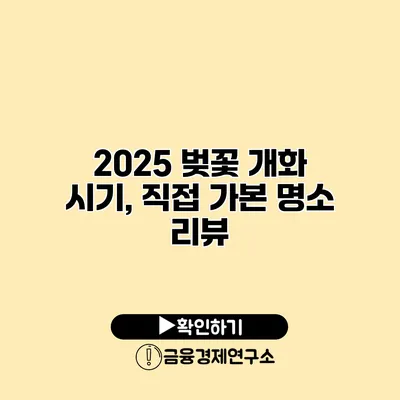 2025 벚꽃 개화 시기, 직접 가본 명소 리뷰