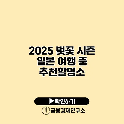 2025 벚꽃 시즌 / 일본 여행 중 추천할명소