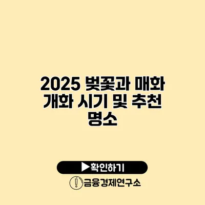 2025 벚꽃과 매화 개화 시기 및 추천 명소