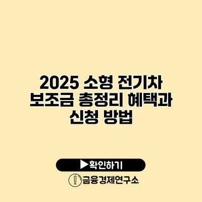 2025 소형 전기차 보조금 총정리 혜택과 신청 방법