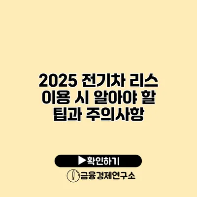 2025 전기차 리스 이용 시 알아야 할 팁과 주의사항