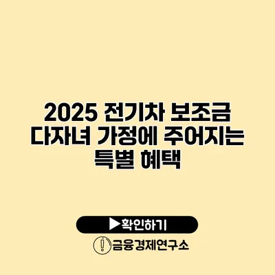 2025 전기차 보조금 다자녀 가정에 주어지는 특별 혜택