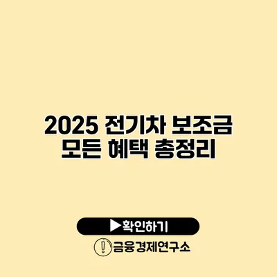2025 전기차 보조금 모든 혜택 총정리