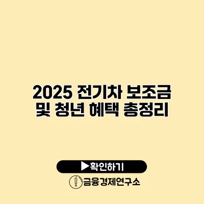 2025 전기차 보조금 및 청년 혜택 총정리