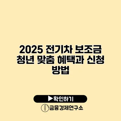 2025 전기차 보조금 청년 맞춤 혜택과 신청 방법