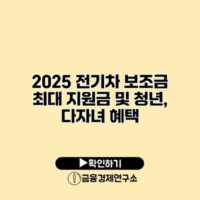 2025 전기차 보조금 최대 지원금 및 청년, 다자녀 혜택