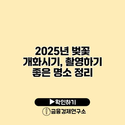 2025년 벚꽃 개화시기, 촬영하기 좋은 명소 정리