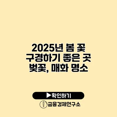 2025년 봄 꽃 구경하기 좋은 곳 벚꽃, 매화 명소