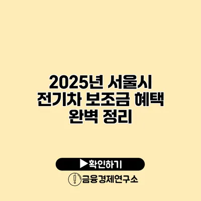 2025년 서울시 전기차 보조금 혜택 완벽 정리