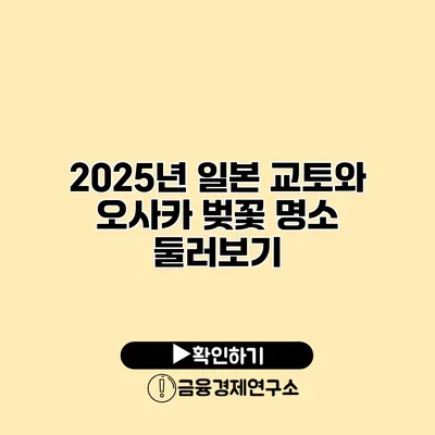 2025년 일본 교토와 오사카 벚꽃 명소 둘러보기