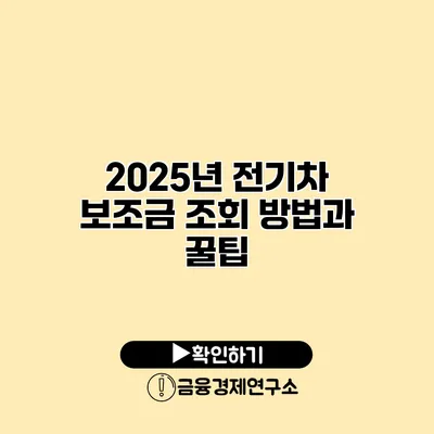 2025년 전기차 보조금 조회 방법과 꿀팁
