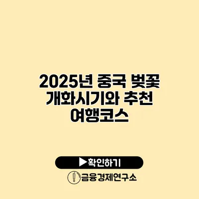 2025년 중국 벚꽃 개화시기와 추천 여행코스