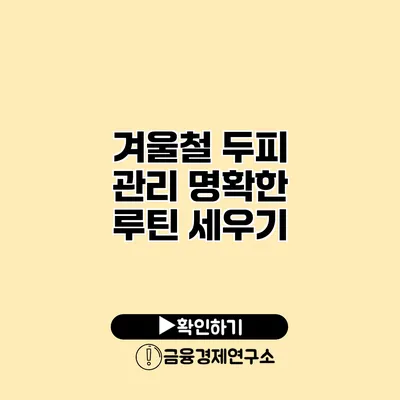 겨울철 두피 관리 명확한 루틴 세우기