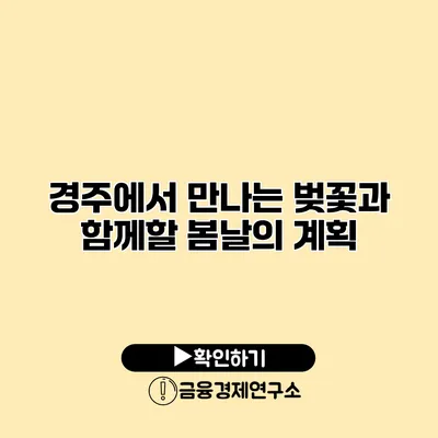 경주에서 만나는 벚꽃과 함께할 봄날의 계획