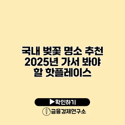 국내 벚꽃 명소 추천 2025년 가서 봐야 할 핫플레이스